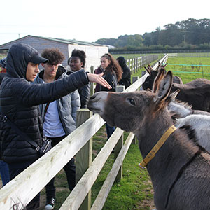 Education Destination students at IW Donkey Sanctuary